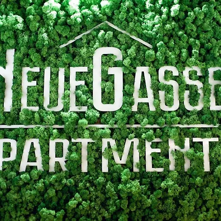 Neue Gasse 리비프